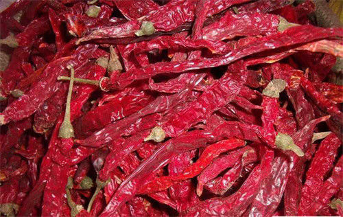 Erjingtiao dolce ha asciugato il pepe di Erjingtiao dell'umidità di Chilis 12% con il gambo