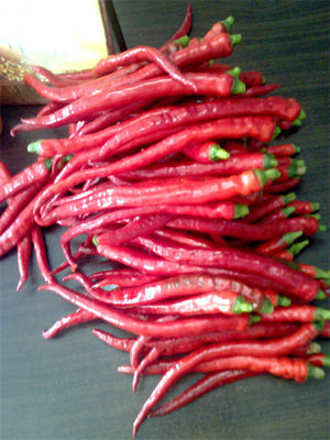 8000-12000shu Erjingtiao ha asciugato il calore moderato Chili Bean Paste Use di Chilis