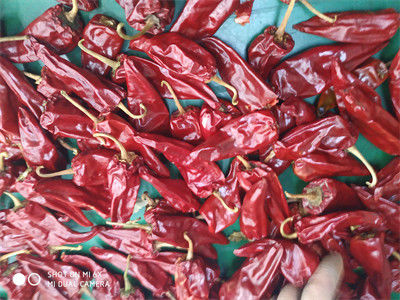 5000 baccelli rossi del Cile secchi A del grado di SHU Mild Dried Chilies Stemmed