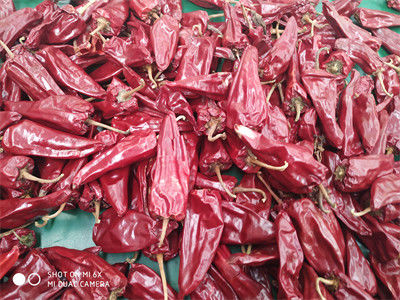 8000 peperoncini rossi di Beijinghong Jinta di sapore di SHU Yidu Chili Pungent Chilli