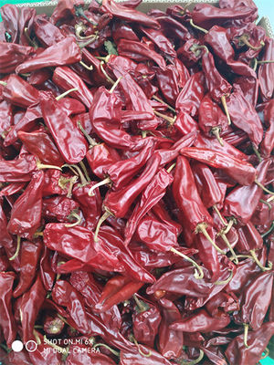 8000 peperoncini rossi di Beijinghong Jinta di sapore di SHU Yidu Chili Pungent Chilli