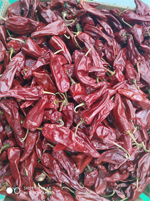 Il nuovo raccolto Yidu ha asciugato la certificazione di HACCP di Chili With Stem