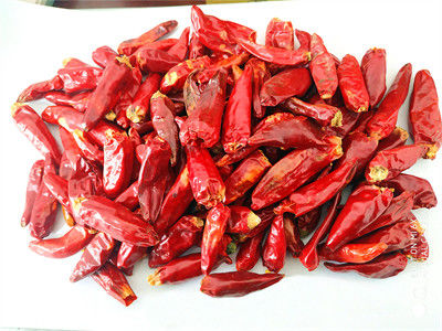 C'è un'altra varietà di peperoncino: il peperoncino ovale asciutto ricco di vitamina C per cucinare