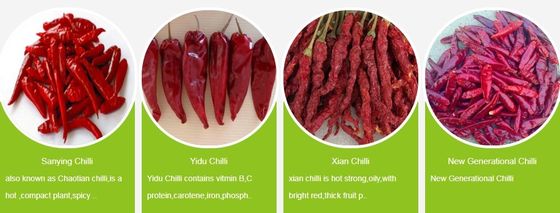 2% Massima percentuale di rottura Chilli rosso secco all'aria con campione e carico raccolto