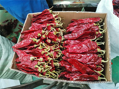 Paprika secca rossa, peperoni, spezie e condimenti in polvere per l'ingrediente alimentare