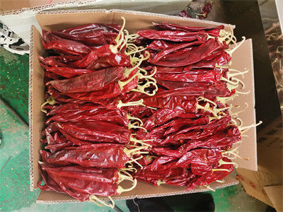 Paprika cinese di nuova coltura di alta qualità con fusto, paprika dolce con fusto/senza fusto, peperoncino rosso secco