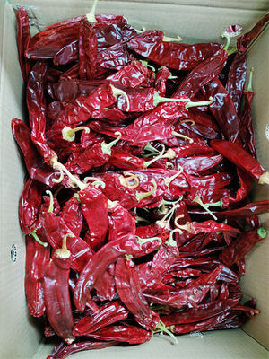 Baccelli dolci di Paprika Pepper Pungent Dried Chili dell'umidità di 15% 18CM