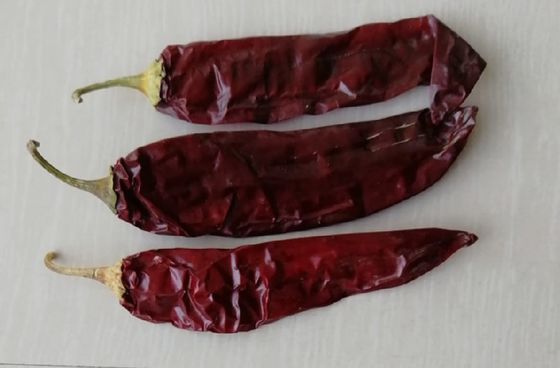 Paprika secca rossa, peperoni, spezie e condimenti in polvere per l'ingrediente alimentare