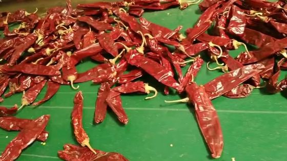 Disidrati Paprika Pepper Non Irradiated Dried dolce Chili Pods rosso 140 Atsa