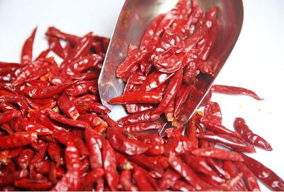 L'umidità certificata HALAL di 12% ha asciugato il capsico rosso dei peperoncini