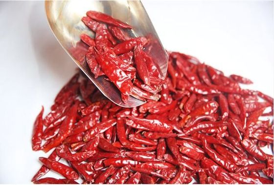 Il cinese Stemless ha asciugato Chili Peppers 819 alto SHU Dried Hot Chillies