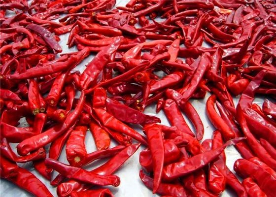 Sanying che disidrata i peperoncini Mala Dried Whole Chillies CASCER