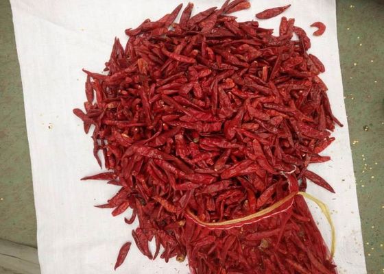 Peperoncini rossi rossi piccanti medi di Tientsin i 8000 Livelli Scoville che asciuga i peperoni