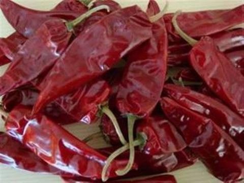 Yidu ha asciugato il Cile rosso pepa i baccelli del condimento 9CM Cile dell'alimento per Pozole