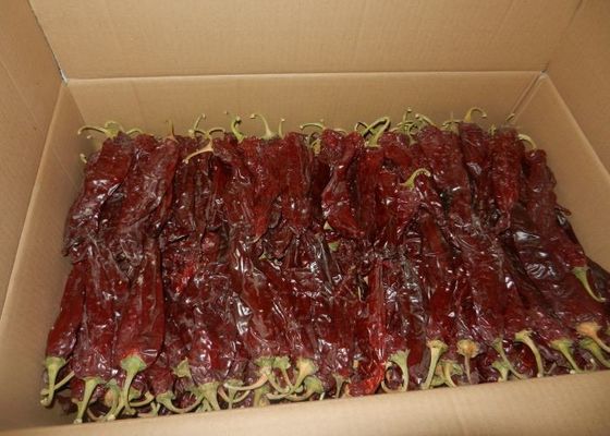 I peperoncini rossi rossi secchi delicati non irradiati hanno staccato Chili Pods Zero Additive dal gambo