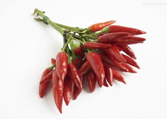 I peperoncini rossi rossi secchi delicati non irradiati hanno staccato Chili Pods Zero Additive dal gambo