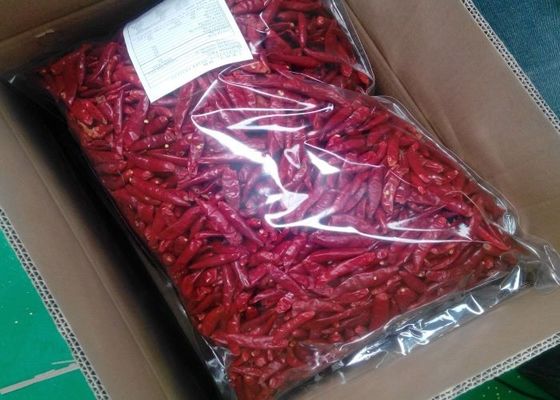 Il nuovo raccolto dei peperoncini rossi rossi commestibili di Tientsin ha staccato Arbol dal gambo secco Chili Peppers