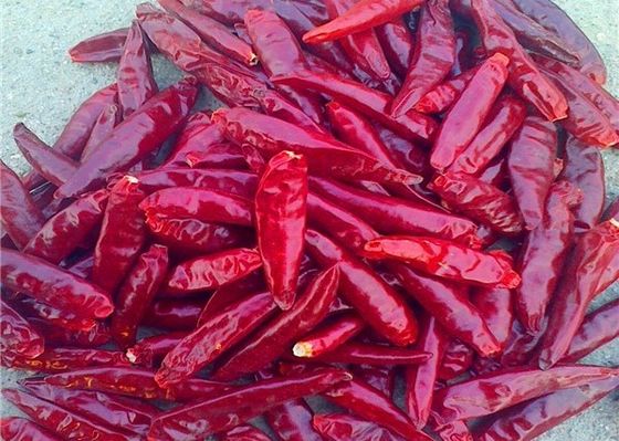 Sanying che disidrata i peperoncini Mala Dried Whole Chillies CASCER