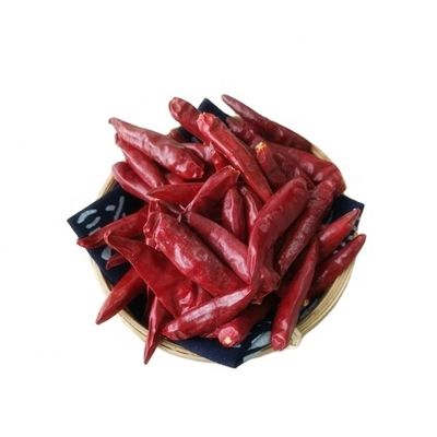 Peperoncini rossi rossi di 7CM Tientsin