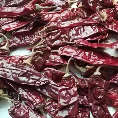 240 ASTA Sweet Paprika Pepper Seedless hanno asciugato gli interi peperoncini rossi rossi NESSUN pigmento