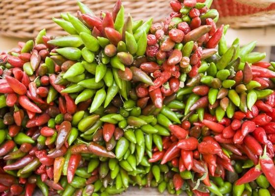 Il peperoncino rosso secco fornisce vitamina A vitamina C ferro / calcio- 1 kg
