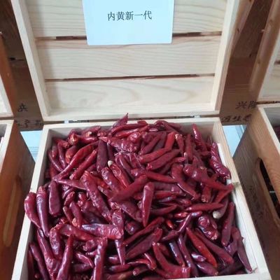 Il cinese ha asciugato Chili Peppers Chaotian Szechuan Dried rosso Chili Zero Additive