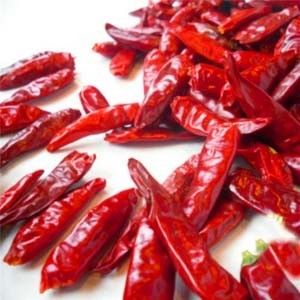 Il cinese ha asciugato Chili Peppers Chaotian Szechuan Dried rosso Chili Zero Additive