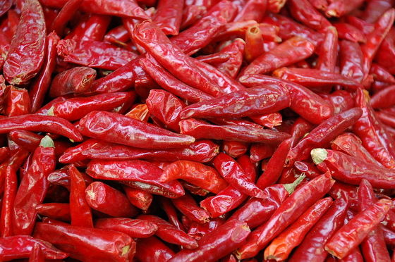 Peperoncini rossi rossi di Tientsin dell'umidità di 8% nessun cinese secco crudo Chilis dell'additivo