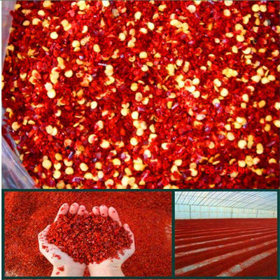 Maglia rossa schiacciata disidratata dei peperoncini 5mm Chili Flakes 8