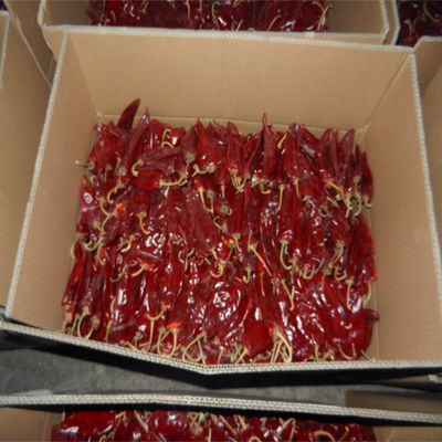 XingLong ha asciugato l'artiglio rosso dell'umidità dei peperoni dolci 8% ha asciugato il peperoncino