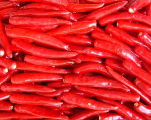 Peperoncino rosso secco di condimento 180 ASTA Red Hot Chili Peppers di Guajillo