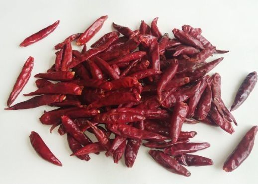 Tientsin che Stemless i peperoncini rossi rossi classificano Tien-Tsin ha asciugato i baccelli rossi del Cile