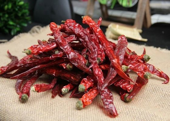Baccelli rossi di SHU10000 Xian Chilli Pungent Flavor Dried Cile 10 PPB