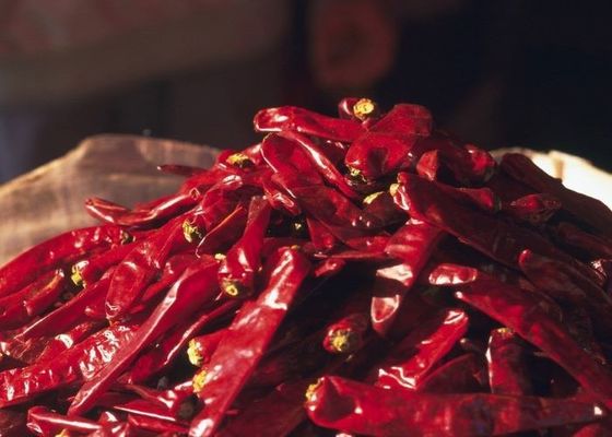 Erjingtiao: peperoncini secchi con 8-12% di umidità e processo di asciugatura in aria