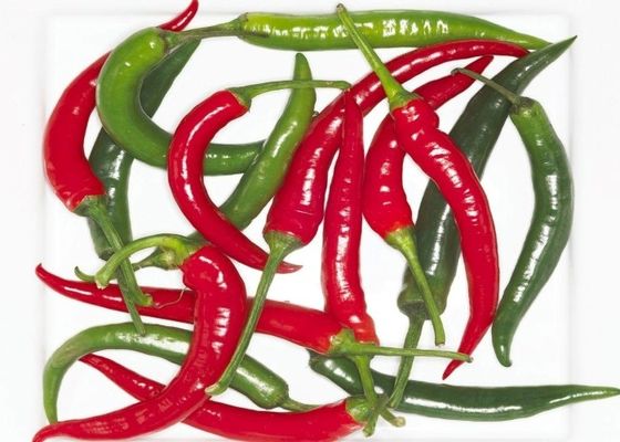 Erjingtiao secchi all'aria, peperoncini secchi senza stelo e con peperoncini.