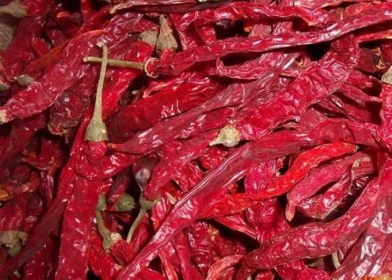 Erjingtiao: peperoncini secchi con 8-12% di umidità e processo di asciugatura in aria