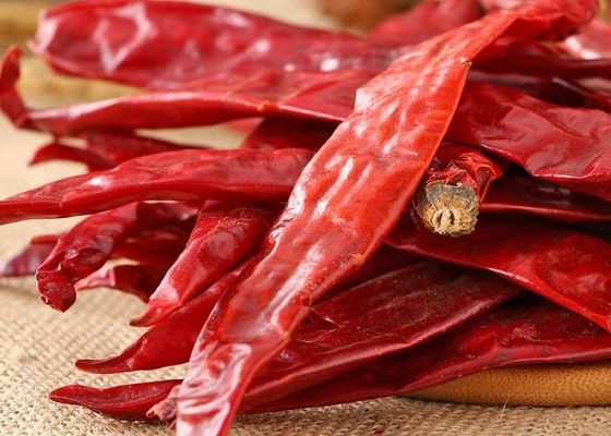 12cm ha asciugato l'umidità rossa secca pungente di Chili Pods 12% dei peperoni piccanti