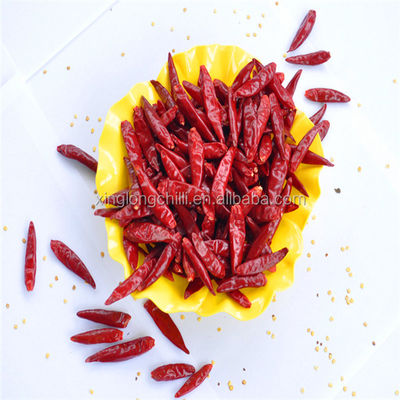Le marinate usano i peperoni seccati al sole secchi del peperoncino rosso 7cm di Guajillo non piccanti