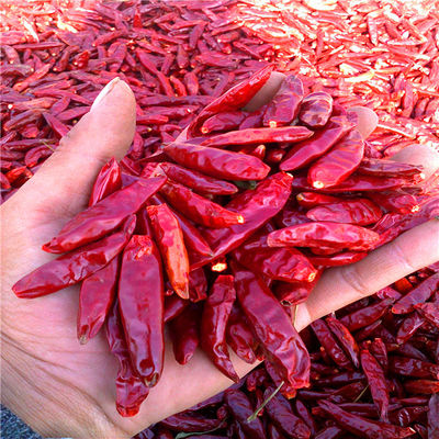 Tien-Tsin ha asciugato i peperoncini rossi 15000 SHU Dehydrated Spicy Red Paprika