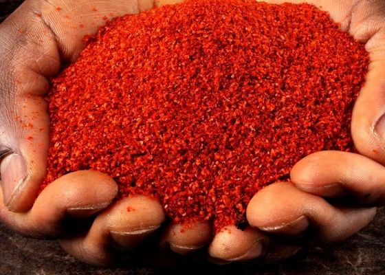 Una polvere di 10 peperoncini rossi di PPB che condisce 100 Scoville Chili Barbecue Powder dolce