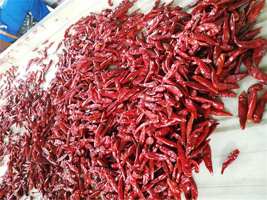peperoncino rosso intero secco Nutritivo piccante e ricco di vitamina C