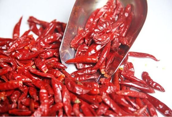 Pimentoni rossi di Tianjin, piccanti e gustosi