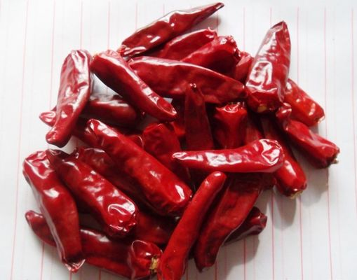 100g di peperoncino di Cayenne, polvere di peperoncino di chili, polvere fine, rosso, secco e fresco.