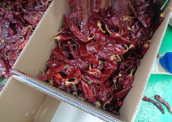 Peperoncini rossi di disidratazione dolci dell'umidità di Paprika Peppers secchi HACCP 16%