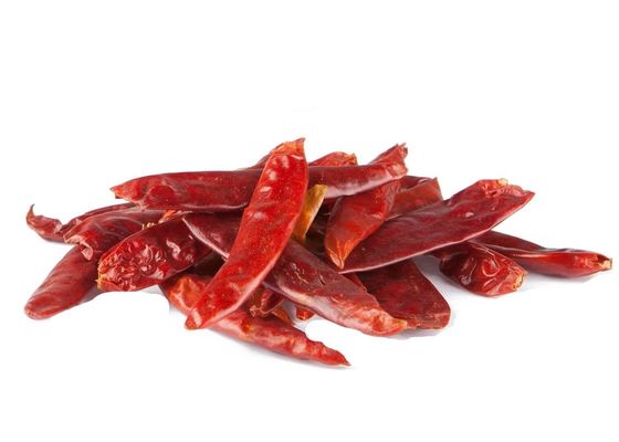 Peperoncini rossi rossi Chili Peppers caldo secco Stemless GMP della pallottola di Sichuan
