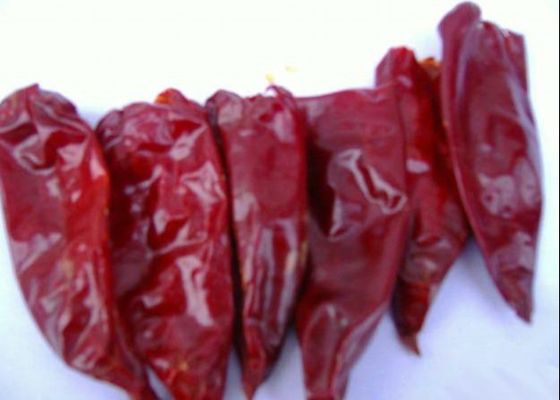 Peperoncini rossi rossi asciutti lunghi crudi 2000 di Yidu Chili Zero Additive Scoville