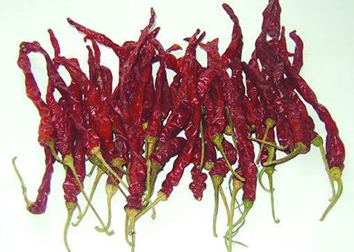 Xian Chilli seccato al sole SHU8000 ha asciugato l'umidità rossa dei peperoncini 8%