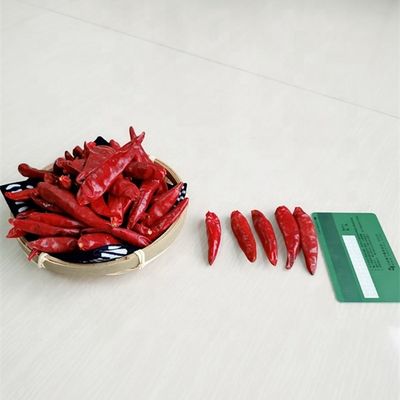 Lunghezza secca piccante CASCER dei peperoncini rossi 40mm del Cile De Arbol 25KG del pepe