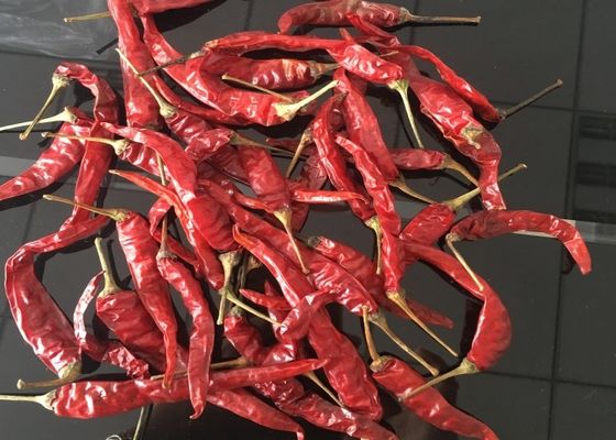 Chilis secco Erjingtiao Stemless ha sterilizzato gli interi peperoncini rossi pungenti