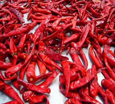 Organic De Arbol Cile Tientsin ha asciugato i peperoni piccanti 50000 SHU Super Hot